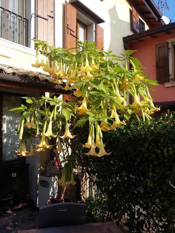 La Carbonara 6 Bed & Breakfast Bardolino Ngoại thất bức ảnh